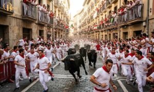 Running of the Bulls spain-running-of-the-bulls-2025-everything-you-need-to-know-before-you-go